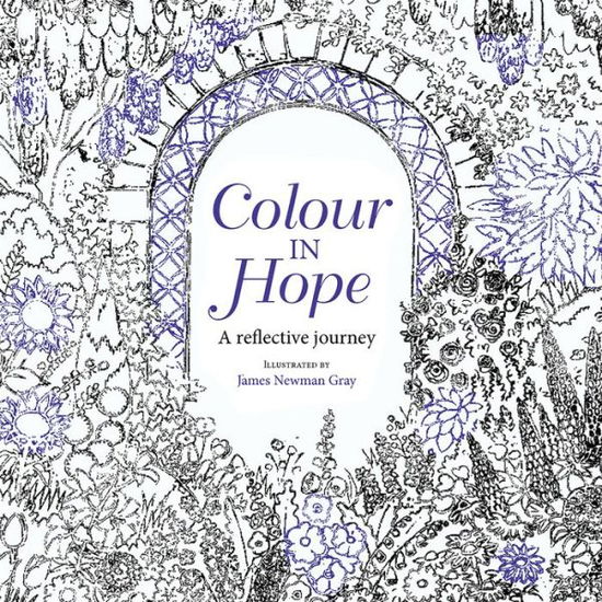 Cover for James Newman Grey · Colour in Hope: A reflective journey (Taschenbuch) [New edition] (2017)