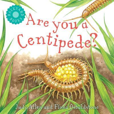 Cover for Judy Allen · Are You a Centipede? - Backyard Books (Hardcover Book) (2019)