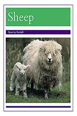 RPM Pur Sheep Is (PM Animal Facts: Farm Animals) - Beverley Randell - Boeken - Rigby - 9780763528058 - 23 oktober 1999