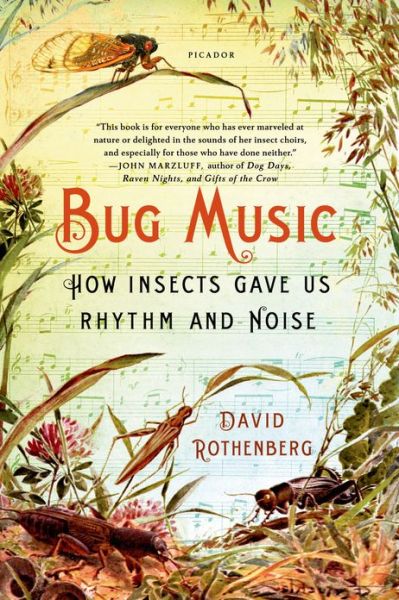 Cover for David Rothenberg · Bug Music (Paperback Book) (2014)