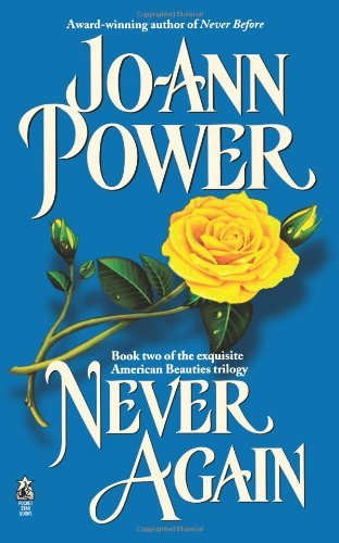 Never Again - Jo-ann Power - Books - Gallery Books - 9781416577058 - September 13, 2007