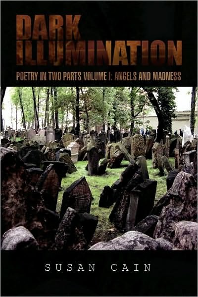 Cover for Susan Cain · Dark Illumination (Paperback Bog) (2010)