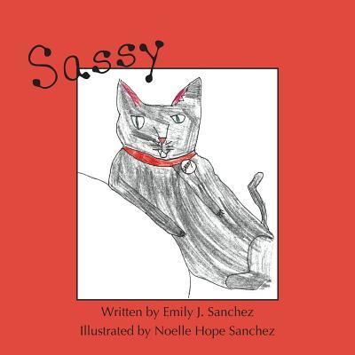 Sassy - Emily Sanchez - Książki - Eber & Wein Publishing - 9781608806058 - 25 października 2017