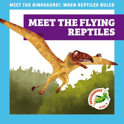 Cover for Rebecca Donnelly · Meet the Flying Reptiles (Hardcover Book) (2022)