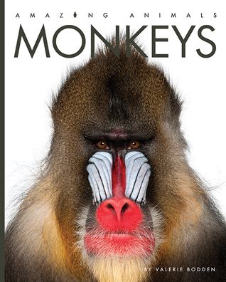 Cover for Valerie Bodden · Monkeys (Hardcover Book) (2020)