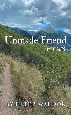 Cover for Peter Waldor · Unmade Friend - Elegies (Hardcover Book) (2021)