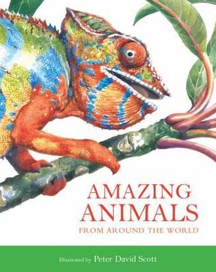 Cover for Peter Scott · Amazing Animals (Hardcover Book) (2010)