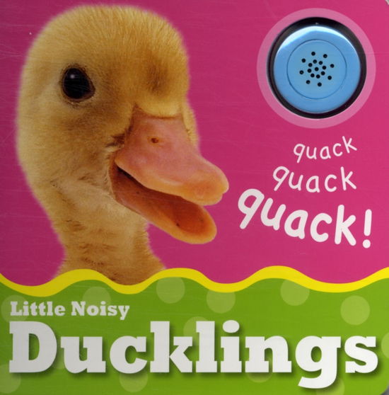 Cover for Christiane Gunzi · Little Noisy Books: Ducklings (Board book) (2011)