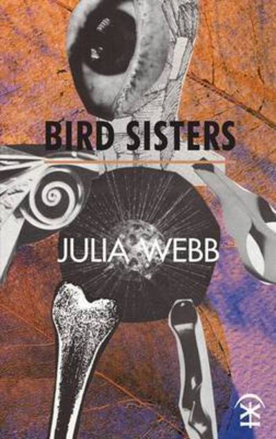 Cover for Julia Webb · Bird Sisters (Paperback Book) (2016)