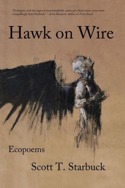 Hawk on Wire - Scott T Starbuck - Books - Fomite - 9781944388058 - April 13, 2017