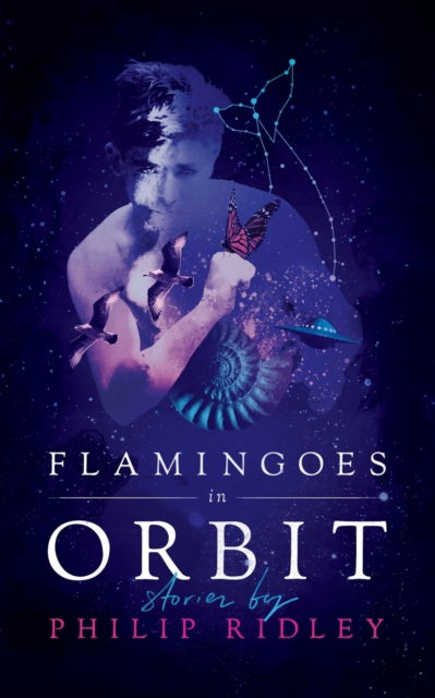 Cover for Philip Ridley · Flamingoes in Orbit (Pocketbok) (2018)