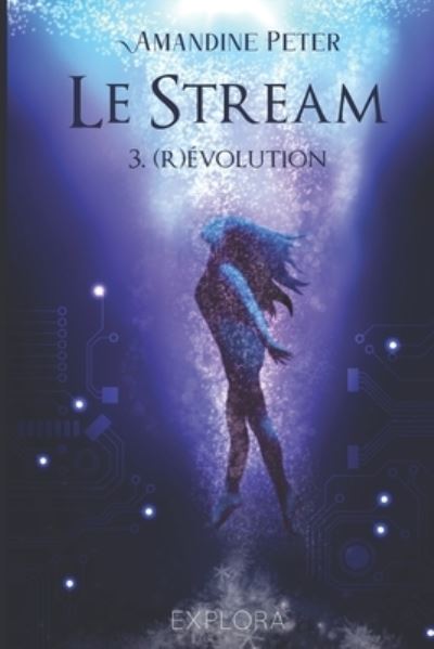 Cover for Explora Éditions · Le Stream (Paperback Book) (2021)