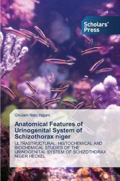Cover for Ghulam Nabi Hajam · Anatomical Features of Urinogenital System of Schizothorax Niger: Ultrastructural, Histochemical and Biochemical Studies of the Urinogenital System of Schizothorax Niger Heckel (Taschenbuch) (2014)