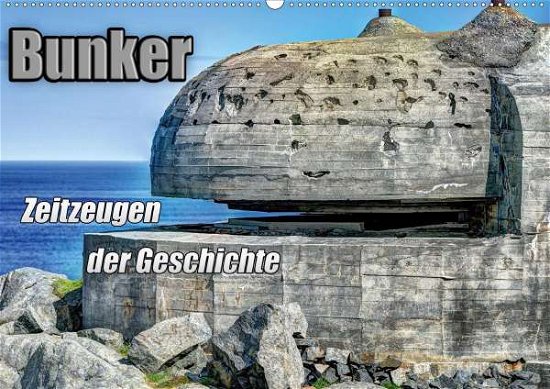 Cover for Media · Bunker Zeitzeugen der Geschichte (Bok)