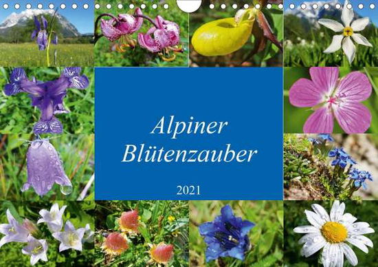 Cover for Bucher · Alpiner Blütenzauber (Wandkalend (Book)