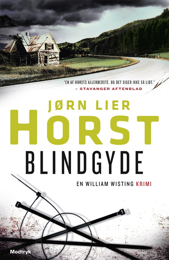 William Wisting-serien: Blindgyde - Jørn Lier Horst - Bøker - Modtryk - 9788770070058 - 27. februar 2018