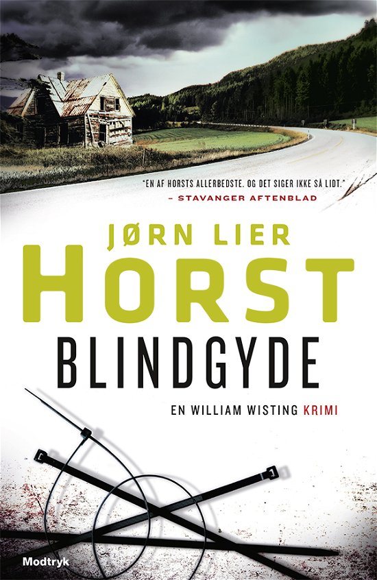 Cover for Jørn Lier Horst · William Wisting-serien: Blindgyde (Taschenbuch) [1. Ausgabe] (2018)