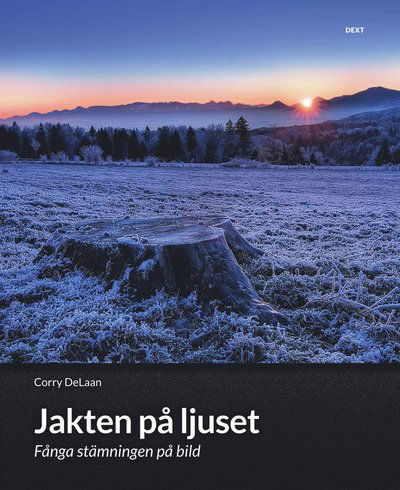 Cover for DeLaan Corry · Jakten på ljuset : fånga stämningen på bild - skapa uttrycksfulla bilder (Book) (2013)