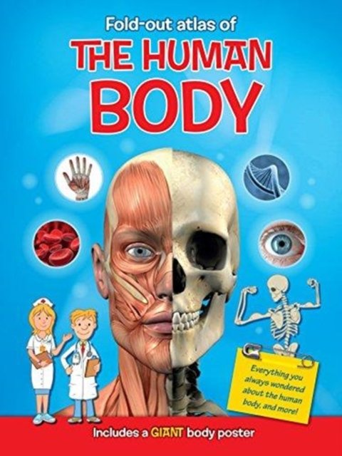 Cover for My Fold out Atlas Human Body (Hardcover bog) (2016)