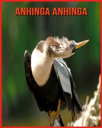 Anhinga anhinga: Foto stupende e fatti divertenti Libro sui Anhinga anhinga per bambini - Alicia Moore - Books - Independently Published - 9798710826058 - February 17, 2021