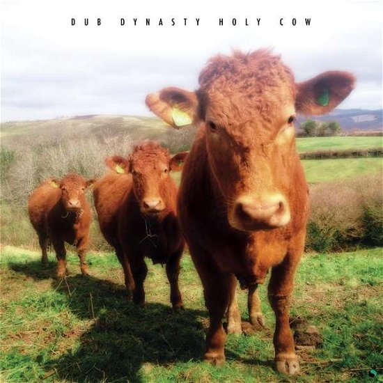 Cover for Dub Dynasty · Holy Cow (CD) (2016)