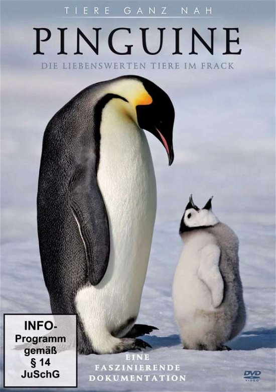 Cover for Doku · Pinguine,dvd (DVD) (2013)