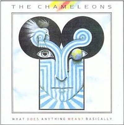 Cover for Chameleons · What Does Anything Mean (CD) (1995)