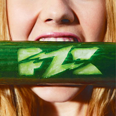 Cover for Pzk (CD) (2010)