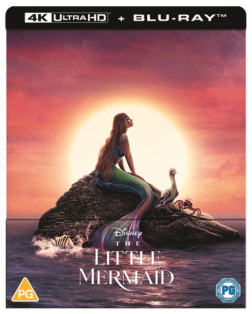 Disneys The Little Mermaid (Live Action 2023) (Steelbook) - The Little Mermaid La Sb Uhdbd - Film - DISNEY - 8717418617059 - 2. oktober 2023