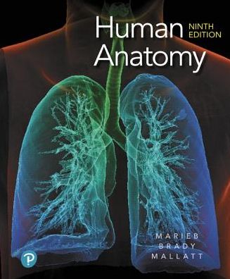 Cover for Elaine Marieb · Human Anatomy (Hardcover Book) (2019)