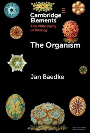 Cover for Baedke, Jan (Ruhr University Bochum) · The Organism - Elements in the Philosophy of Biology (Hardcover Book) (2025)