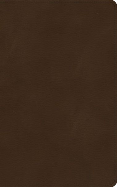 Cover for Holman Bible Staff · KJV Ultrathin Bible, Brown LeatherTouch, Indexed (Lederbuch) (2021)