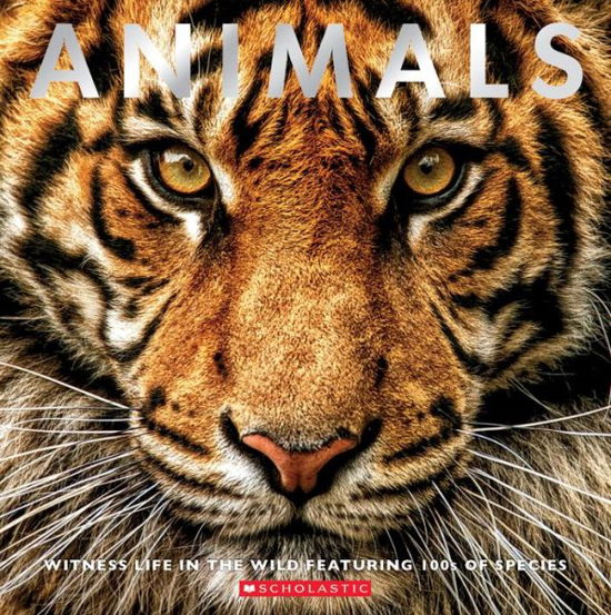 Cover for Scholastic · Animals: Witness Life in the Wild Featuring 100s of Species (Pocketbok) (2019)