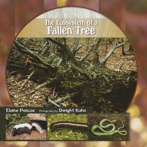 Cover for Elaine Pascoe · The Ecosystem of a Fallen Tree (Library of Small Ecosystems) (Paperback Book) (2005)