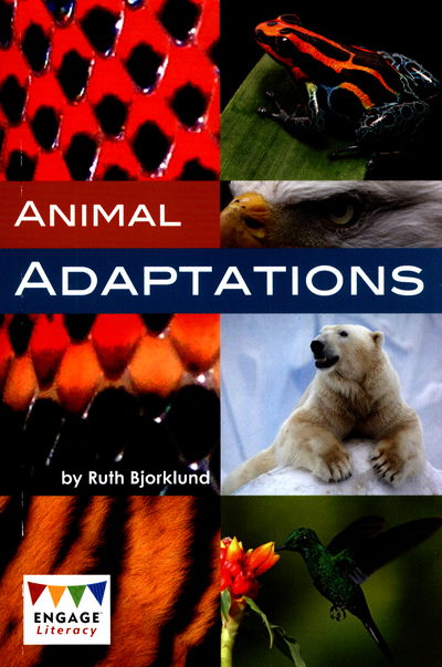 Cover for Ruth Bjorklund · Animal Adaptations - Engage Literacy Brown (Paperback Book) (2017)