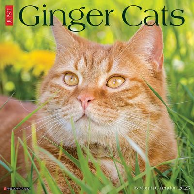 Willow Creek Press · Just Ginger Cats 2025 12 X 12 Wall Calendar (Calendar) (2024)