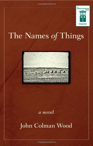 Cover for John Colman Wood · The Names of Things (Paperback Book) (2012)