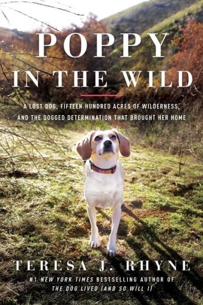 Cover for Teresa J. Rhyne · Poppy in the Wild: A Lost Dog, Fifteen Hundred Acres of Wilderness, and the Dogged Determination that Brought Her Home (Paperback Book) (2022)