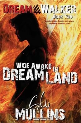 Cover for Light of the Moon Publishing · Wide Awake In Dream Land (Hardcover Book) (2022)