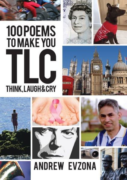 Cover for Andrew Evzona · 100 Poems to Make You TLC (Taschenbuch) (2017)