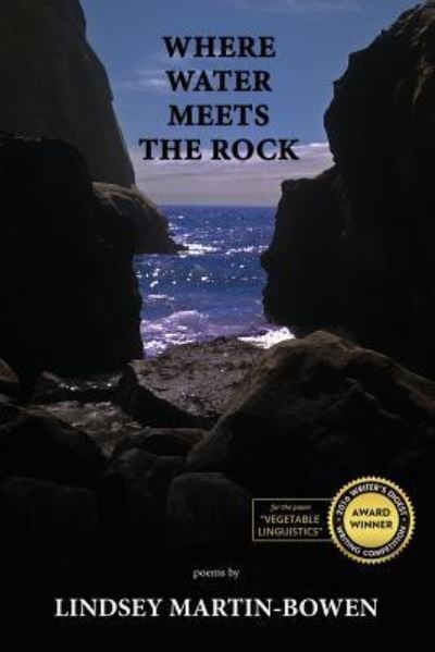 Where Water Meets the Rock - Lindsey Martin-Bowen - Books - 39 West Press - 9781946358059 - July 18, 2017