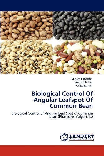 Cover for Otaye Daniel · Biological Control of Angular Leafspot of Common Bean: Biological Control of Angular Leaf Spot of Common Bean (Phaseolus Vulgaris L.) (Paperback Book) (2012)
