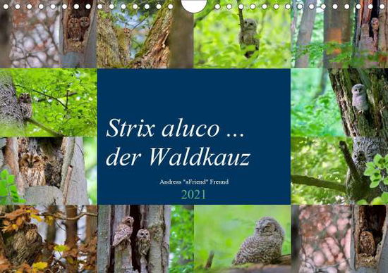 Strix aluco ... der Waldkauz (Wa - Freund - Książki -  - 9783672381059 - 