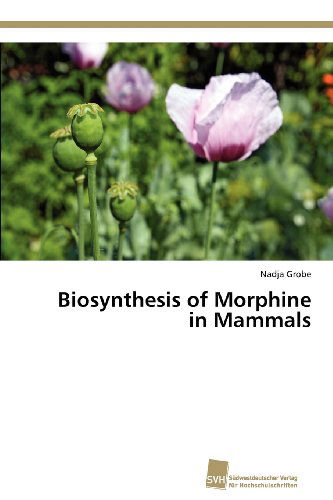 Cover for Nadja Grobe · Biosynthesis of Morphine in Mammals (Paperback Book) (2012)