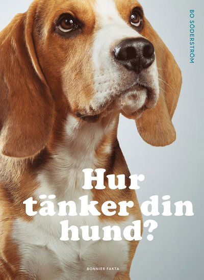 Cover for Bo Söderström · Hur tänker din hund? (Hardcover Book) (2019)