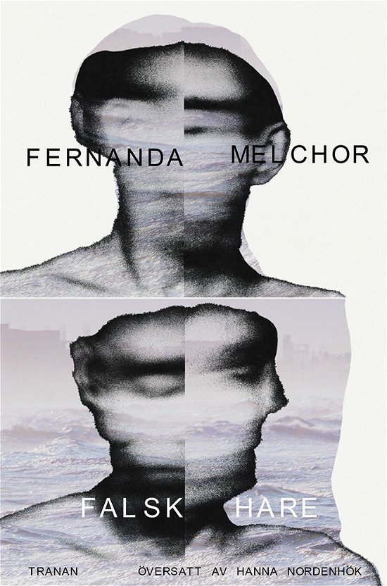 Falsk hare - Fernanda Melchor - Bücher - Bokförlaget Tranan - 9789189814059 - 29. November 2023