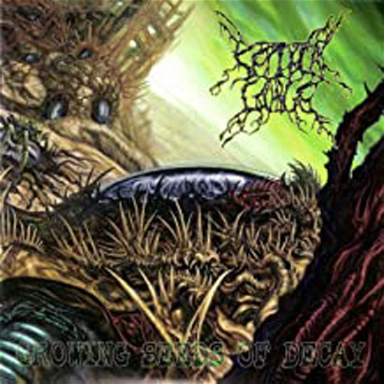 Cover for Septycalgorge · Growing Seed of Decay (CD) (2013)