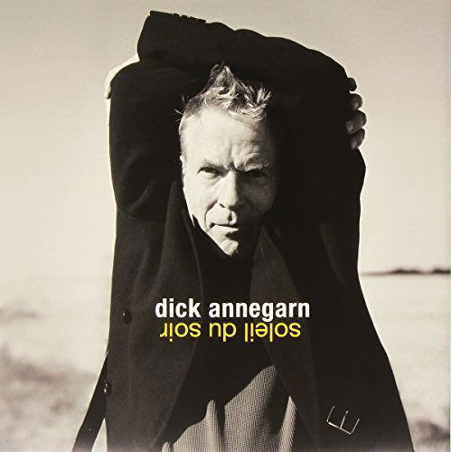 Cover for Dick Annegarn · Soleil Du Soir (LP) (2014)