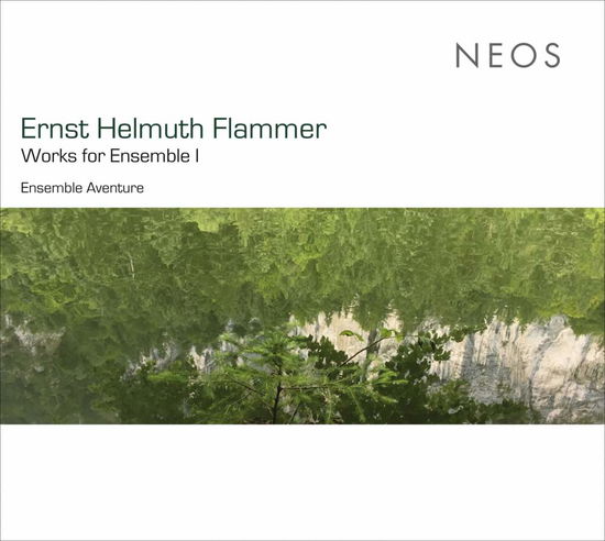 Works for Ensemble I - Ensemble Aventure - Música - NEOS - 4260063117060 - 18 de maio de 2018