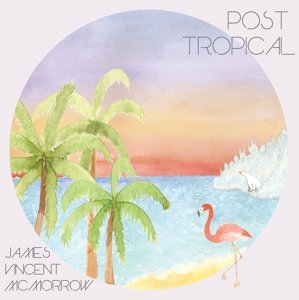 Cover for James Vincent Mcmorrow · Post Tropical (LP) (2016)
